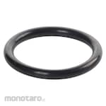 Kalrez O-Ring Seal (Oring)