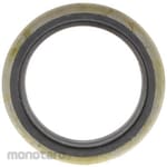 IKO Oil Seal DS Series (Sil Oli)