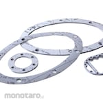 Latty Static Seal (gasket) Flon 94L