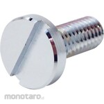 SCULPS Decorative Flat Screw Slotted Coin Low Head (Brass Chrome Plating)
