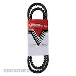 SUPCO Standard & Cogged V-Belt