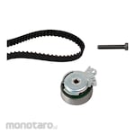 INA Pulley Kit 530 Type