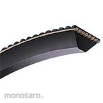 Mitsuboshi Polymax Belt Type 11M