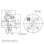 Everon Flange type fixed shaft coupling