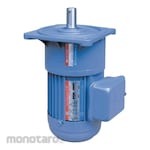 TUNGLEE Compact Gear Motor Complete with DC Brake