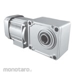 Mitsubishi Electric GM-SHY-R Geared Motor, Flange Type, Hollow Shaft