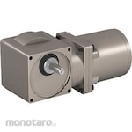 Sumitomo Heavy Industry Astero Straight Gear Head (Kepala Gearbox)