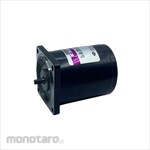 SPG reversible motor