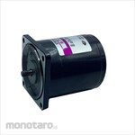SPG reversible motor