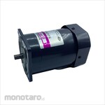 SPG reversible motor