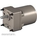 Astero Induction Motor