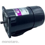 ESCO speed control motor