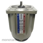 TUNGLEE Variable Speed Motor Brake