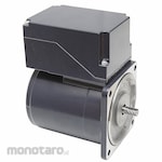 DAYTON AC Gearmotor Component Motor