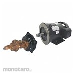 DAYTON Rotary Gear Pump