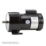LEESON AC Geared Motor TEFC (Motor Listrik)
