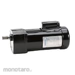 LEESON AC Gearmotor TEFC