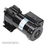 LEESON AC Gearmotor
