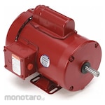 LEESON Farm Duty AC Motor