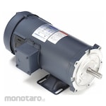 LEESON General Purpose DC Motor