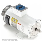 LEESON Washdown DC Motor