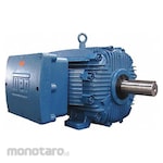 WEG Hazardous Location AC Motor
