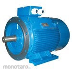 ADK Electric Motor (Cast Iron) Foot and Flange Mounted B35 3Phase 1000RPM (Motor Induksi / Dinamo Induksi)