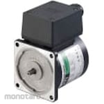 ORIENTAL MOTOR WK series AC motor