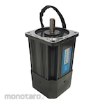 OTG Induction Round Shaft Motor