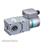 Orientalmotor Induction Motor 4IK30VKEST Series (Motor Induksi / Dinamo Induksi)