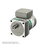 Orientalmotor Induction Motor 5IK100VEST2 Series