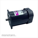SPG induction motor