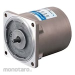 Sumitomo Heavy Industry Astero Induction Motor