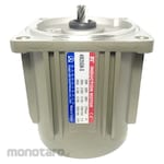 TUNGLEE Induction Motor Continuous 3Ph with Brake