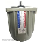 TUNGLEE Induction Motor Reversible 1Ph with Brake