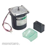ORIENTAL MOTOR Torque Motor World K Series 20W