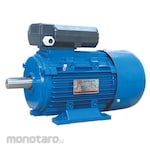 ADK Single Phase Induction Motors Foot Mounted 3000RPM