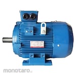 Aero Electric Motor Foot Mounted 3000RPM 3 Phase (Dinamo Motor Listrik)