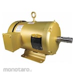 BALDOR ELECTRIC 3-Phase NEMA Frame General Purpose AC Motor