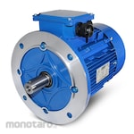 Bologna Electric Motor B5 3 Phase 4 Pole (Dinamo Motor Listrik)