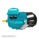Brook Crompton Electric Motor Foot Mounted B3 2P 3000RPM (Dinamo Motor Listrik)