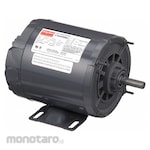 DAYTON 50 Hz AC Motor