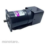 ESCO Speed control motor (with brake/SR) EA968DE series