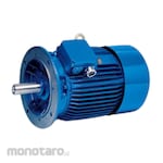 Elektrim Cantoni Electric Motor Flange Mounted B5 3000RPM (Dinamo Motor Listrik)