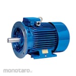Elektrim Cantoni Electric Motor Foot Flange Mounted B35 1500RPM (Dinamo Motor Listrik)