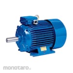 Elektrim Cantoni Electric Motor Foot Mounted B3 3000RPM (Dinamo Motor Listrik)