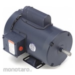 LEESON 50 Hz AC Motor