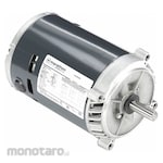 MARATHON MOTORS 3-Phase NEMA Frame General Purpose AC Motor