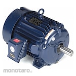 MARATHON MOTORS Severe Duty - IEEE 841 Motor