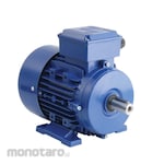 Marelli Motori Electric Motor B3 (Dinamo Motor Listrik)